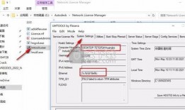 香肠工厂爆料视频下载安装,从原料到成品的生产全过程