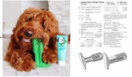 爆料宠物玩具怎么做视频,轻松上手，打造萌宠专属乐园