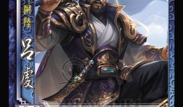 3.15三国杀最新爆料,揭秘最新版本神秘英雄与策略变革