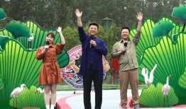 天光游乐场最新爆料视频,揭秘神秘设施与精彩瞬间